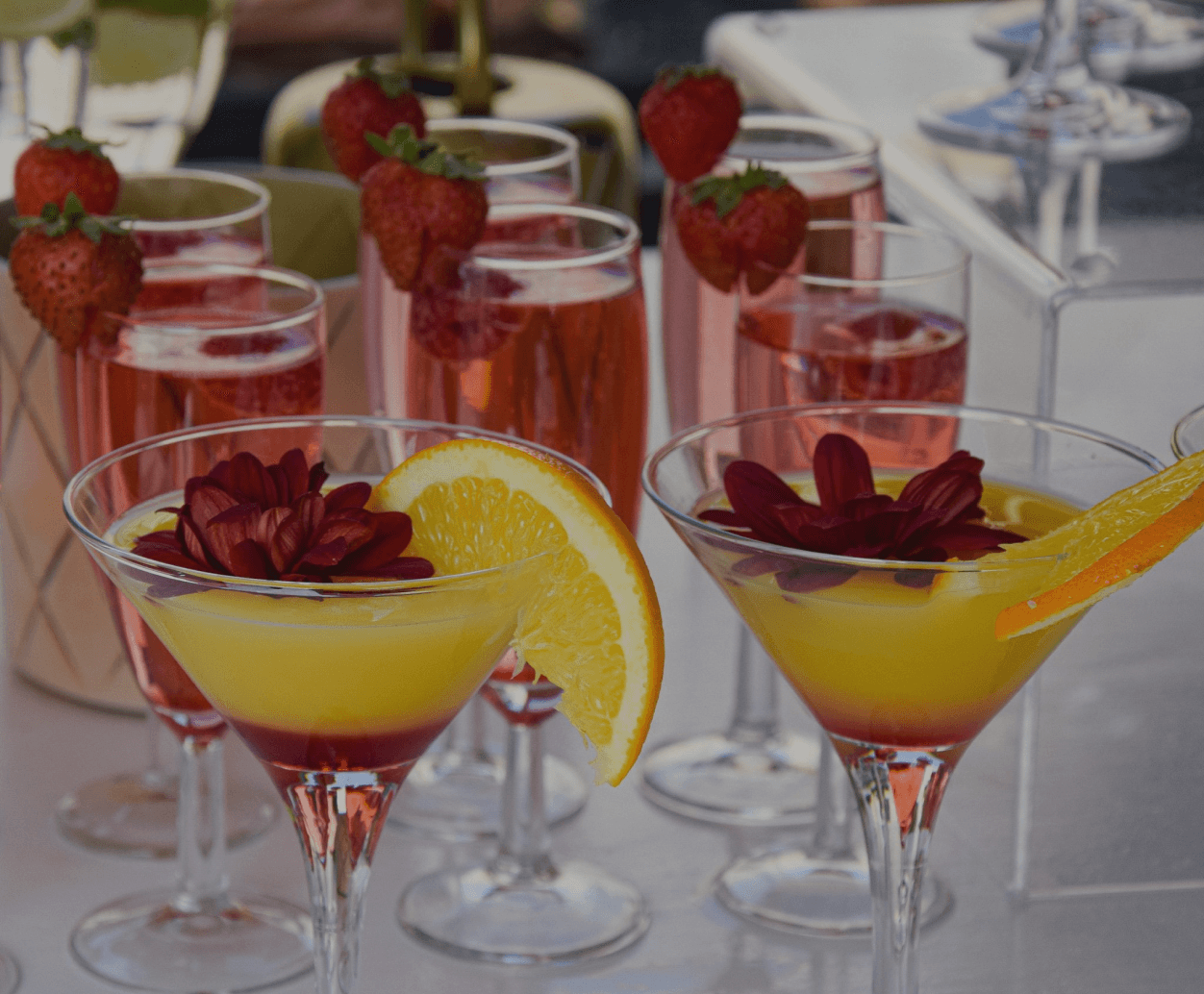 Bars à cocktails