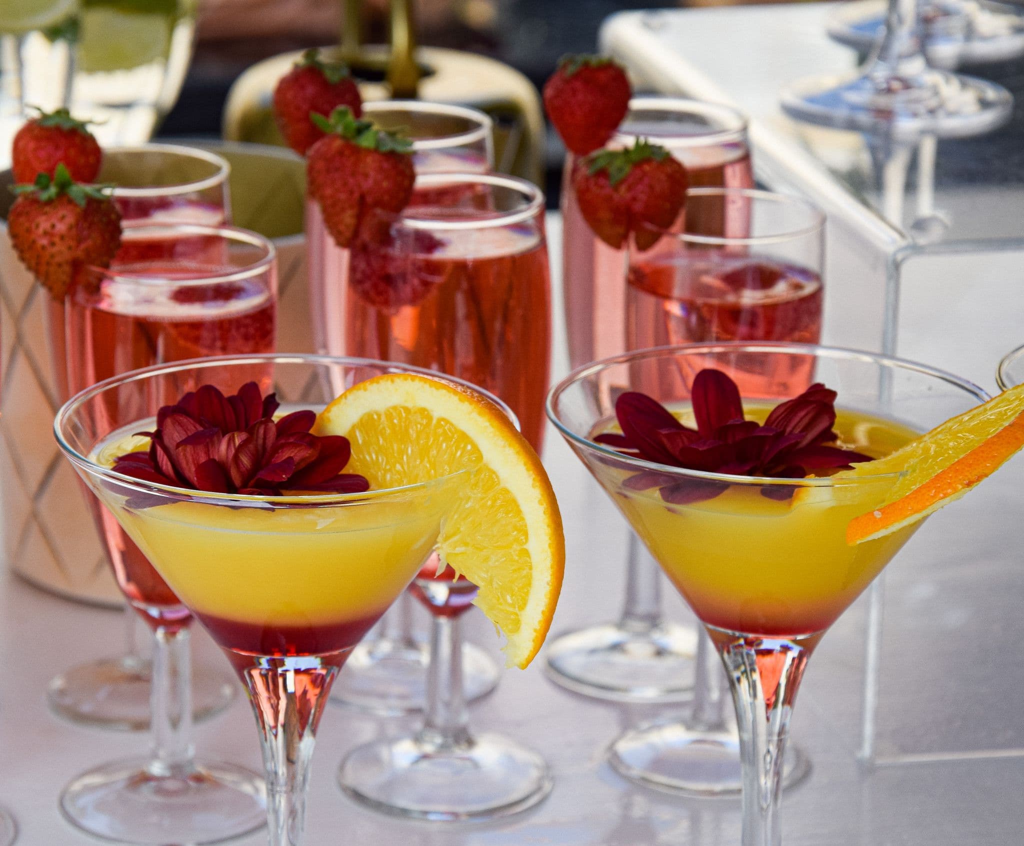 barACocktailsGallery1